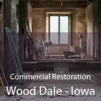 Commercial Restoration Wood Dale - Iowa