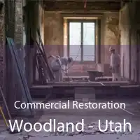 Commercial Restoration Woodland - Utah