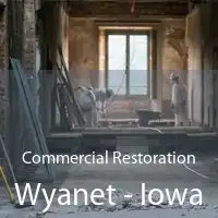 Commercial Restoration Wyanet - Iowa