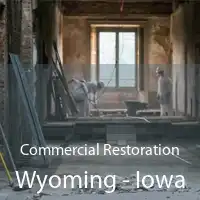 Commercial Restoration Wyoming - Iowa