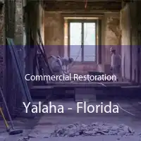 Commercial Restoration Yalaha - Florida