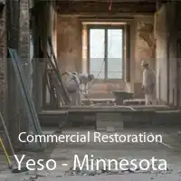 Commercial Restoration Yeso - Minnesota