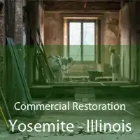 Commercial Restoration Yosemite - Illinois