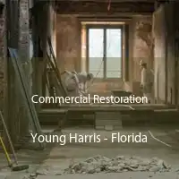 Commercial Restoration Young Harris - Florida