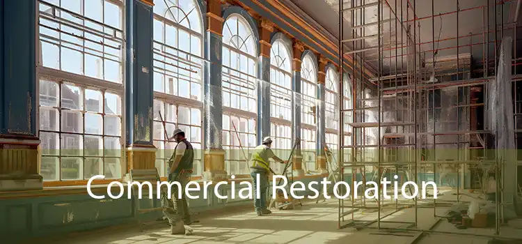 Commercial Restoration 