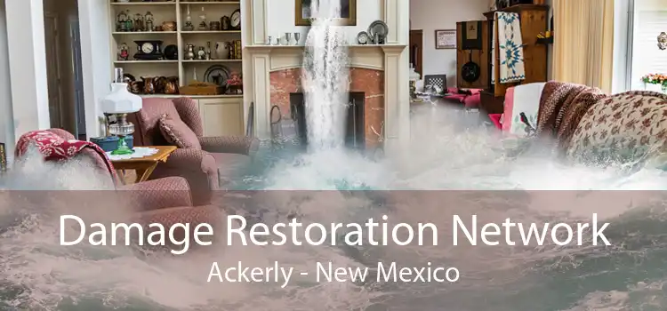 Damage Restoration Network Ackerly - New Mexico