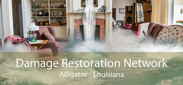 Damage Restoration Network Alligator - Louisiana