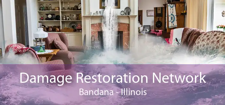 Damage Restoration Network Bandana - Illinois