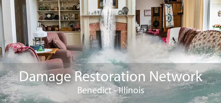 Damage Restoration Network Benedict - Illinois