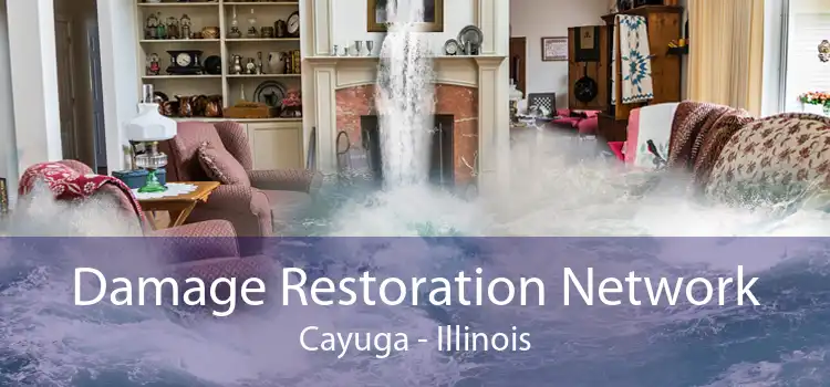 Damage Restoration Network Cayuga - Illinois