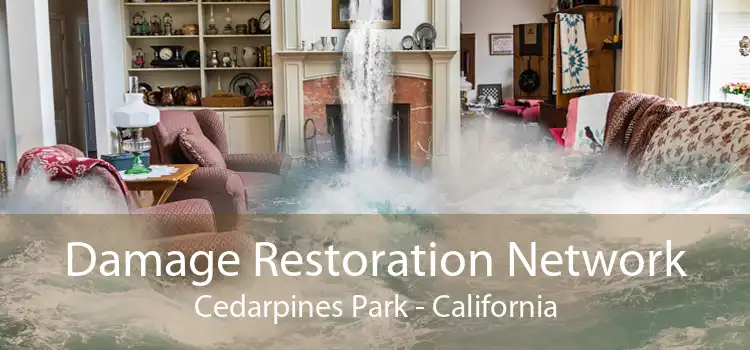 Damage Restoration Network Cedarpines Park - California