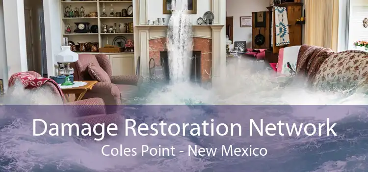 Damage Restoration Network Coles Point - New Mexico