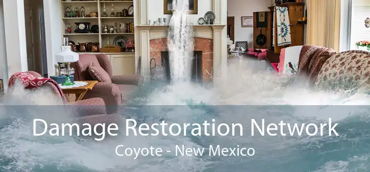 Damage Restoration Network Coyote - New Mexico