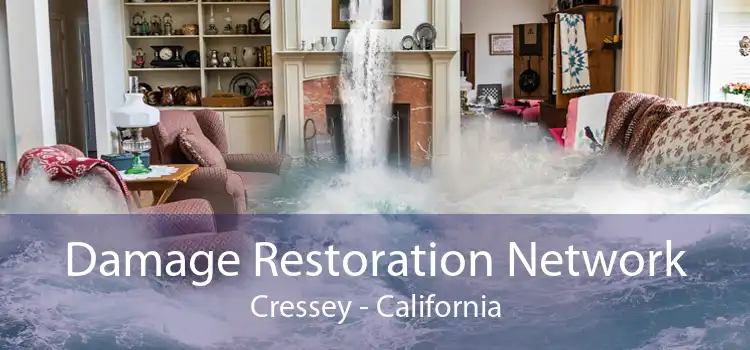 Damage Restoration Network Cressey - California