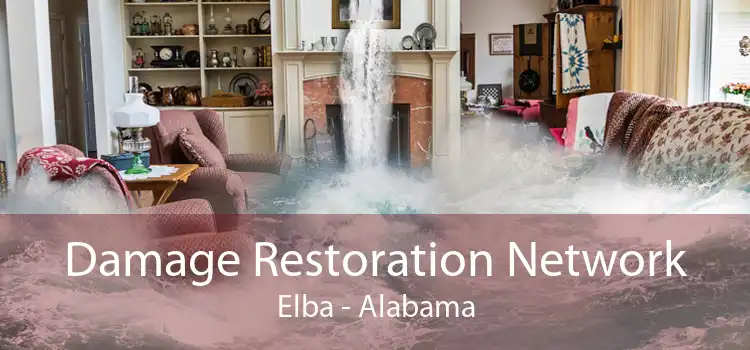 Damage Restoration Network Elba - Alabama