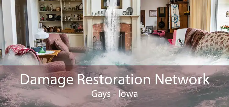 Damage Restoration Network Gays - Iowa