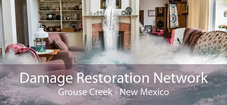Damage Restoration Network Grouse Creek - New Mexico