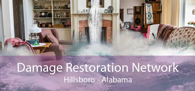 Damage Restoration Network Hillsboro - Alabama