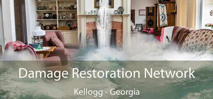 Damage Restoration Network Kellogg - Georgia