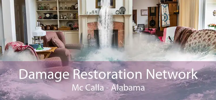 Damage Restoration Network Mc Calla - Alabama