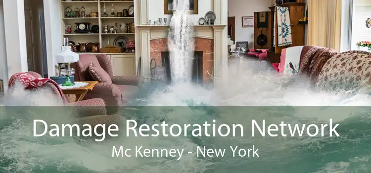 Damage Restoration Network Mc Kenney - New York