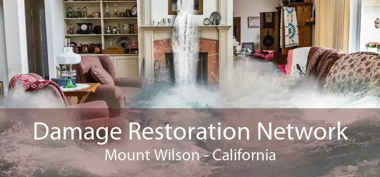 Damage Restoration Network Mount Wilson - California