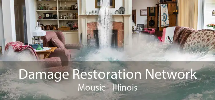 Damage Restoration Network Mousie - Illinois