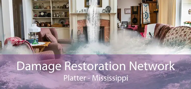 Damage Restoration Network Platter - Mississippi