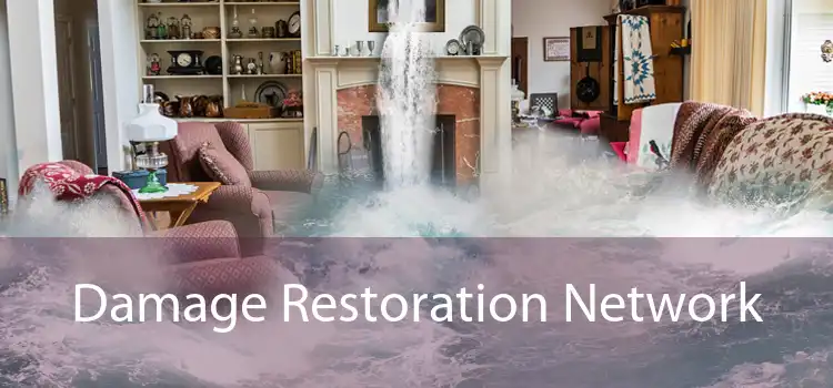 Damage Restoration Network 