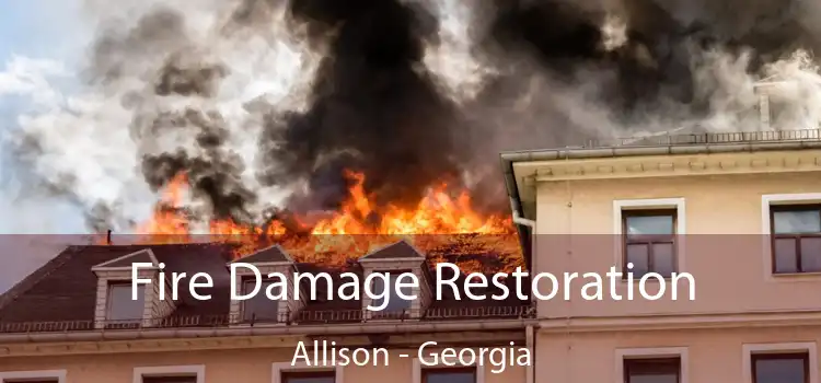 Fire Damage Restoration Allison - Georgia