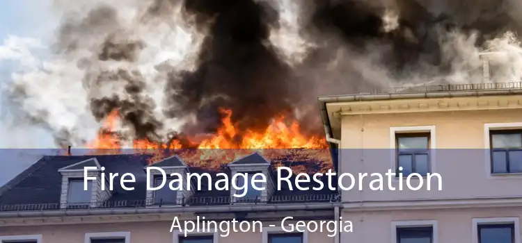 Fire Damage Restoration Aplington - Georgia