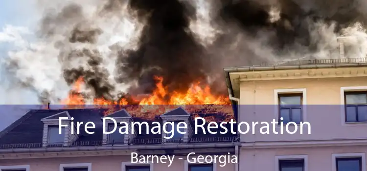 Fire Damage Restoration Barney - Georgia