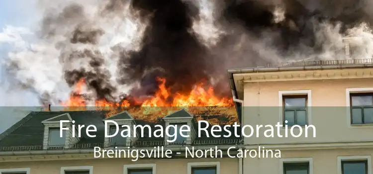 Fire Damage Restoration Breinigsville - North Carolina
