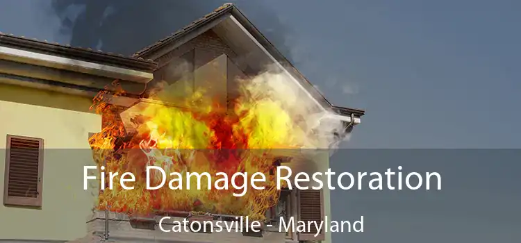 Fire Damage Restoration Catonsville - Maryland