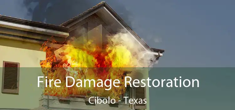 Fire Damage Restoration Cibolo - Texas