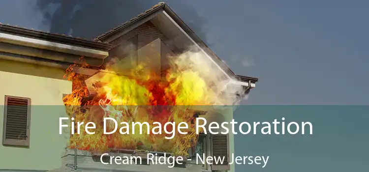 Fire Damage Restoration Cream Ridge - New Jersey