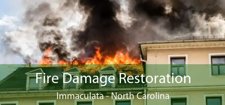 Fire Damage Restoration Immaculata - North Carolina