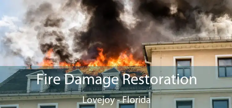 Fire Damage Restoration Lovejoy - Florida