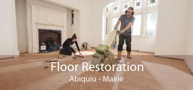 Floor Restoration Abiquiu - Maine