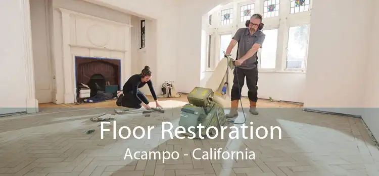 Floor Restoration Acampo - California