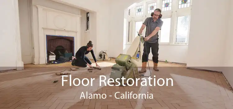 Floor Restoration Alamo - California