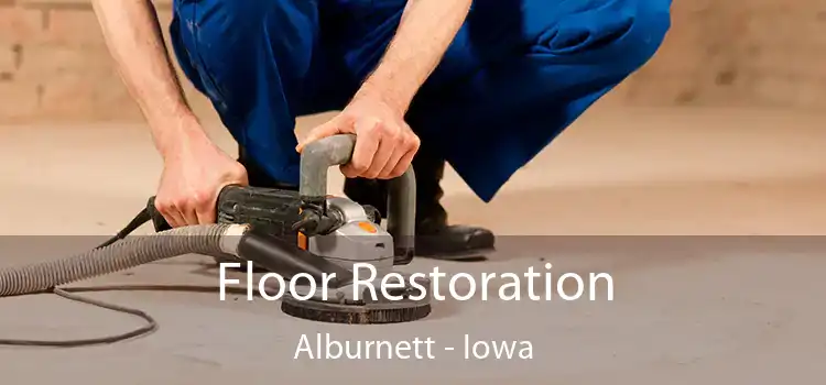 Floor Restoration Alburnett - Iowa