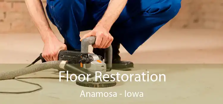 Floor Restoration Anamosa - Iowa