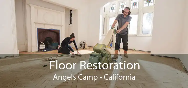 Floor Restoration Angels Camp - California