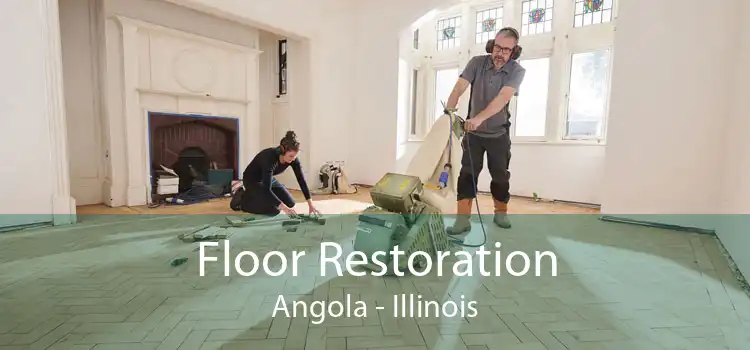 Floor Restoration Angola - Illinois