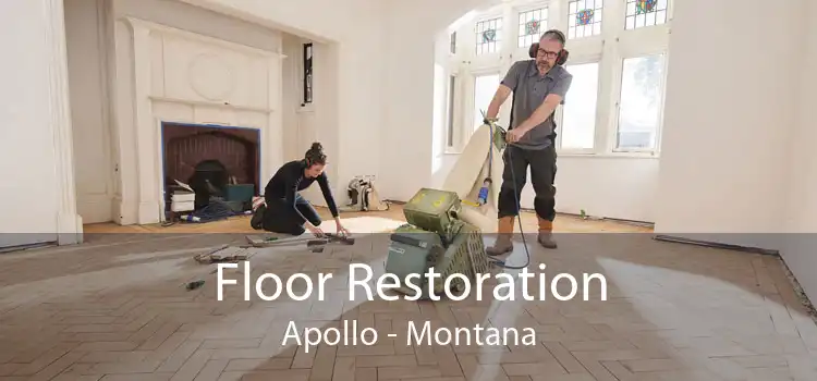 Floor Restoration Apollo - Montana