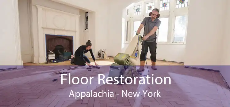 Floor Restoration Appalachia - New York