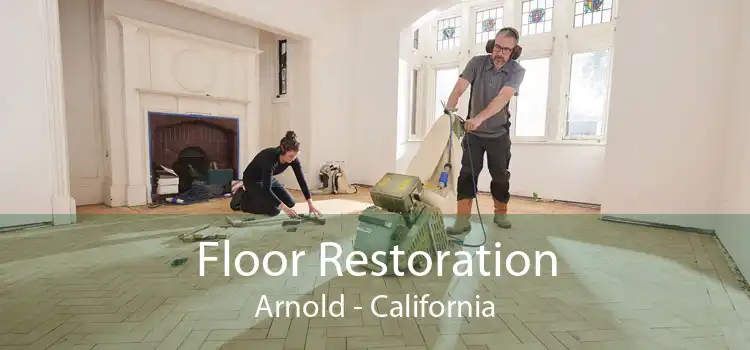 Floor Restoration Arnold - California