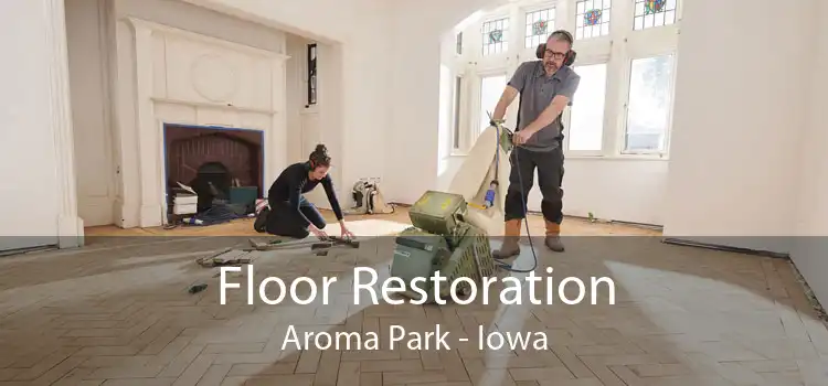 Floor Restoration Aroma Park - Iowa