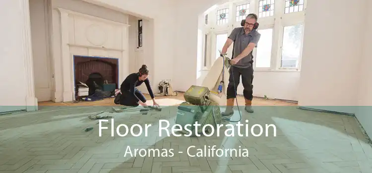 Floor Restoration Aromas - California